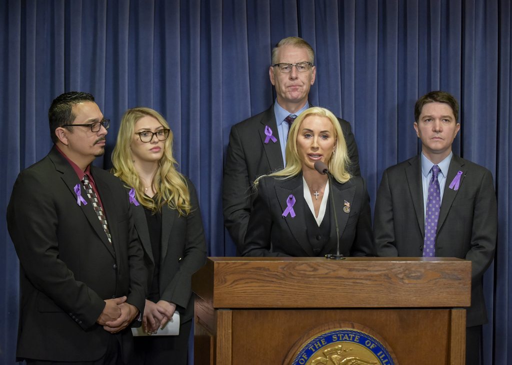 Protecting Victims and Families from Domestic Violence
