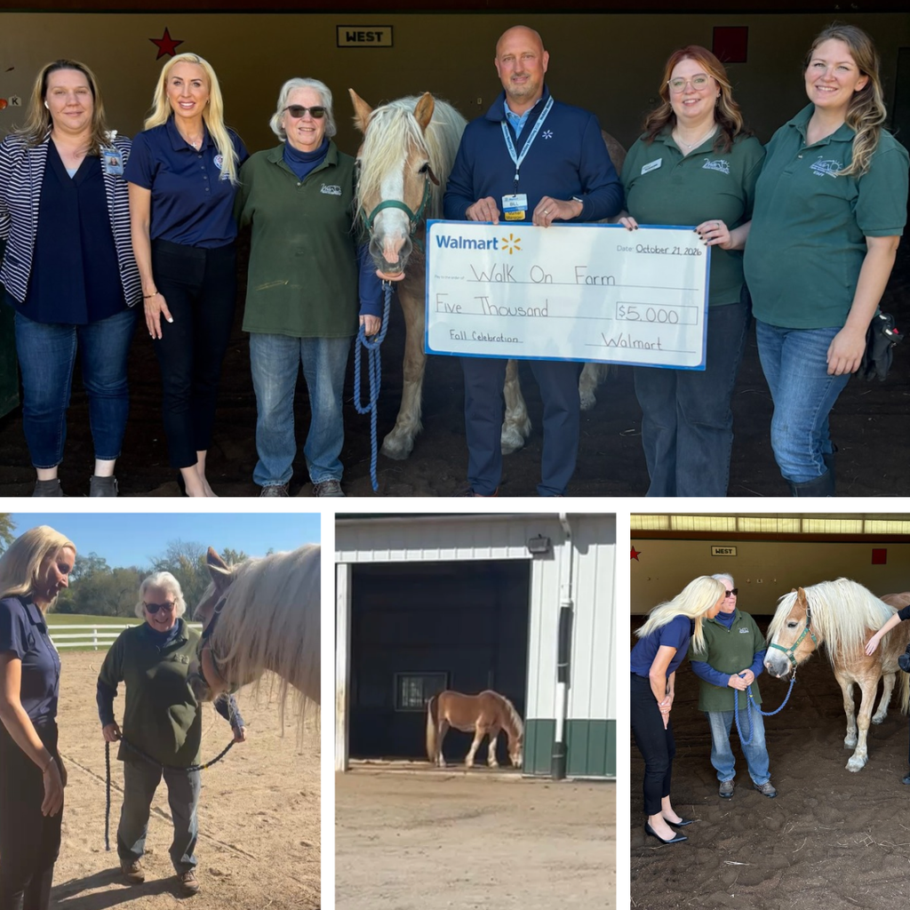 Supporting Life-Changing Programs at Walk On